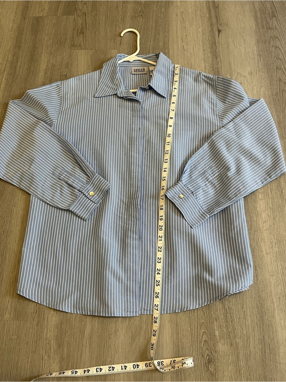 Woman  Blue Stripe Button-Down Shirt